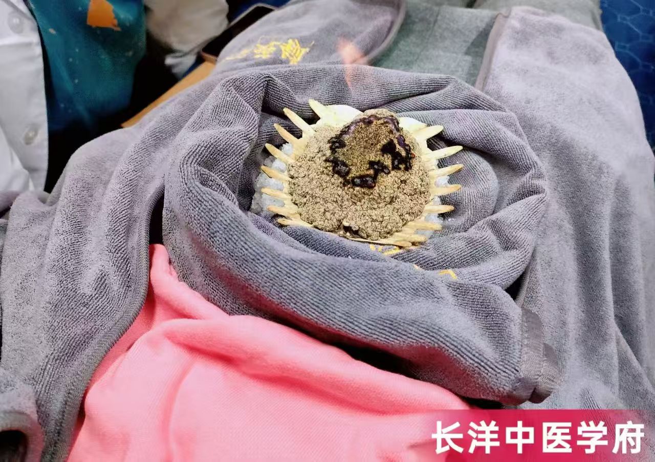 在广东想学特色艾灸培训学校该怎么选？深度解析学普通艾灸课程与学特色艾灸背后的市场价值